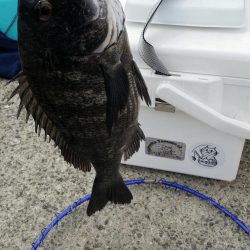 紀州釣りに挑戦！！